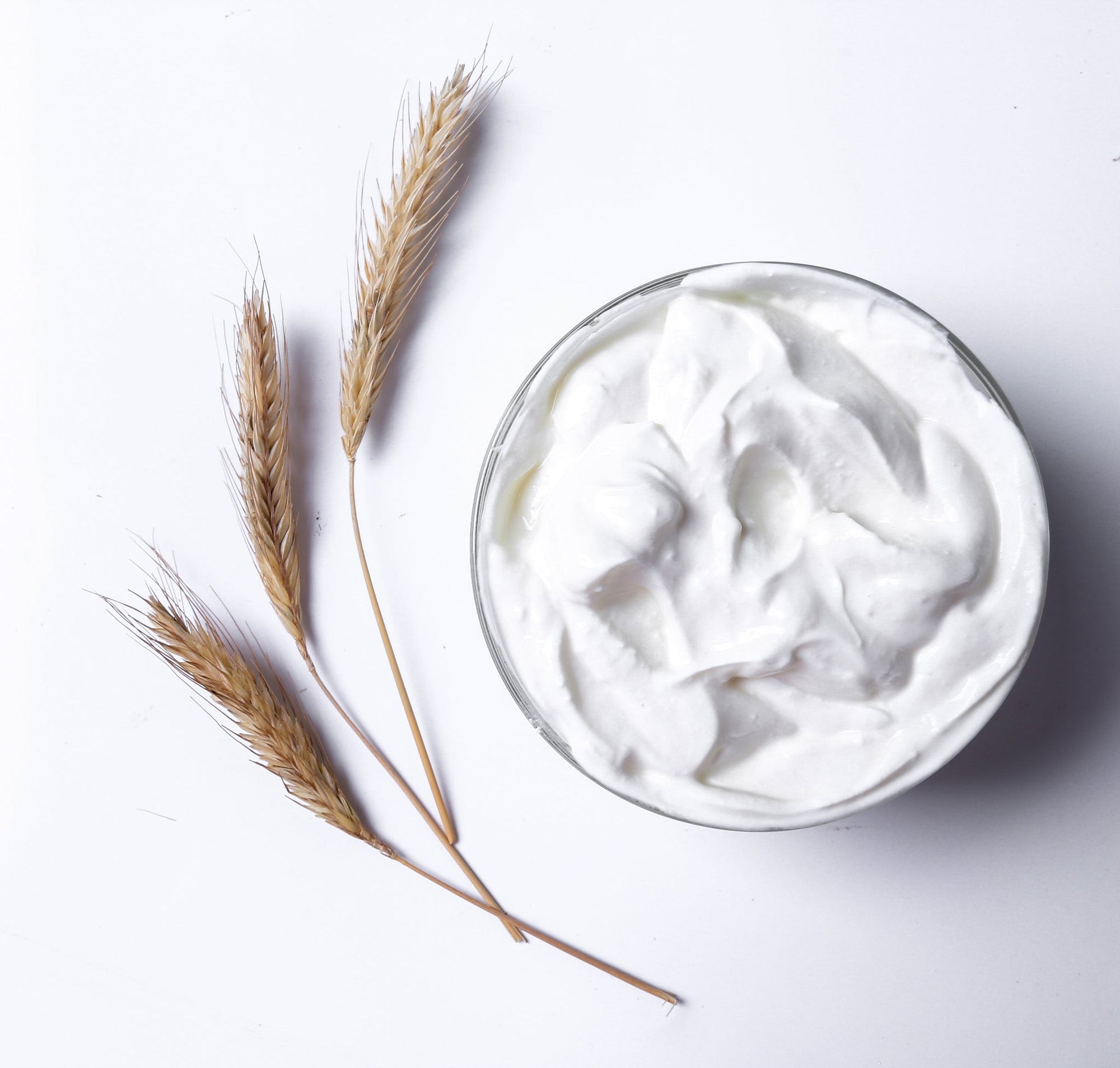 Symbiota Viili Yogurt (Swedish Yogurt) No yogurt maker needed - All Things Fermented | Home Brew Shop NZ | Supplies | Equipment