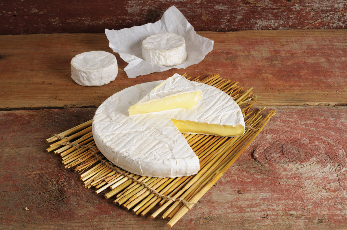 Mad Millie Specialty Cheese Kit - All Things Fermented | Home Brew Shop NZ | Supplies | Equipment
