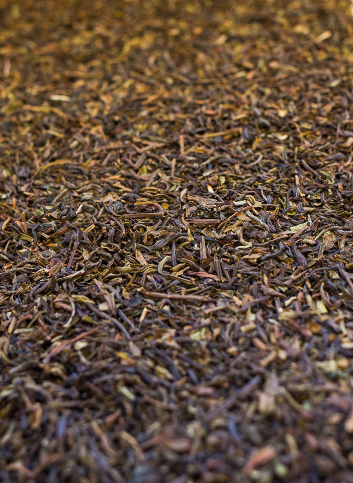 Symbiota Organic Black Tea - All Things Fermented | Home Brew Shop NZ | Supplies | Equipment